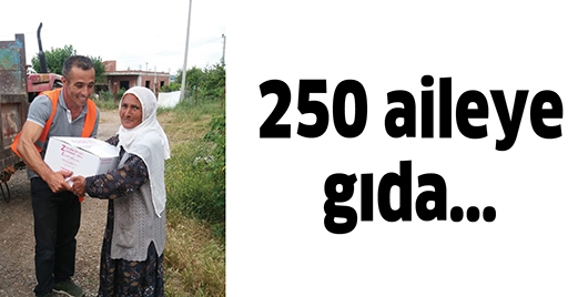 250 AİLEYE GIDA...