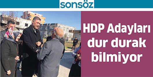 HDP ADAYLARI DUR DURAK BİLMİYOR