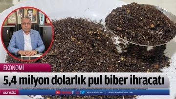 5,4 milyon dolarlık pul biber ihracatı