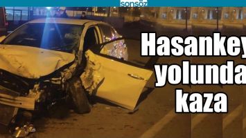 HASANKEYF YOLUNDA KAZA