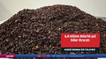 6,8 milyon dolarlık pul biber ihracatı
