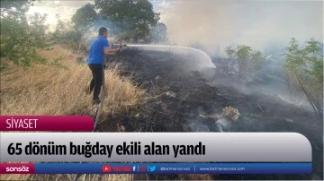 65 dönüm buğday ekili alan yandı