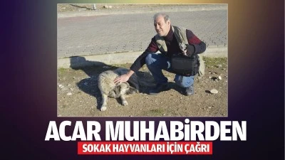 Acar Muhabirden sokak hayvanları için çağrı