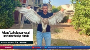 Adana'da bulunan yaralı kartal tedaviye alındı