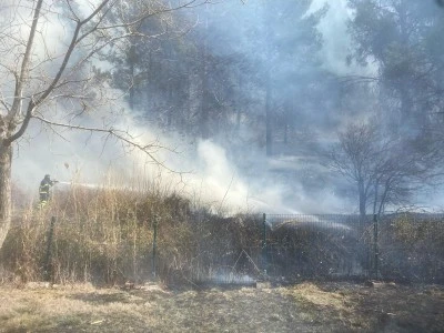 Adıyaman'da örtü yangını söndürüldü