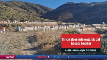 Adıyaman'ın Sincik ilçesinde organik bal hasadı başladı