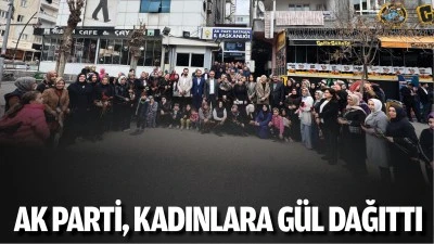 AK Parti, kadınlara gül dağıttı