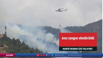 Anız yangını söndürüldü