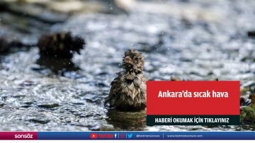 Ankara'da sıcak hava