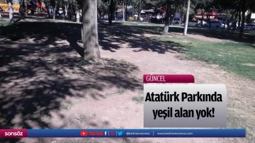 Atatürk Parkında yeşil alan yok!