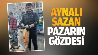 Aynalı sazan, pazarın gözdesi…