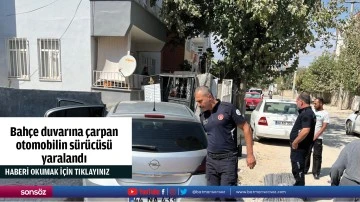 Bahçe duvarına çarpan otomobilin sürücüsü yaralandı