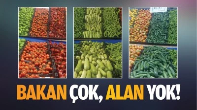 Bakan çok, alan yok!