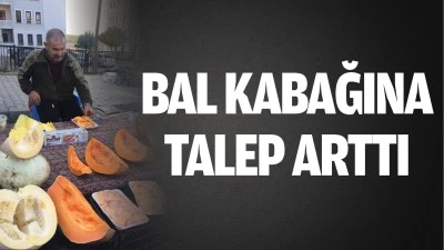 Bal kabağına talep arttı