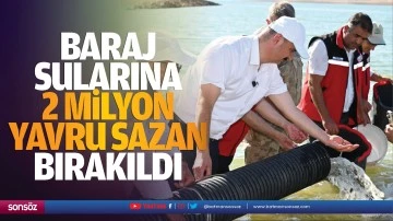 Baraj sularına 2 milyon yavru sazan bırakıldı