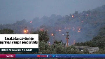  Barakadan zeytinliğe  sıçrayan yangın söndürüldü