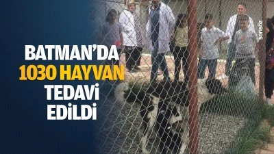 Batman’da 1030 hayvan tedavi edildi