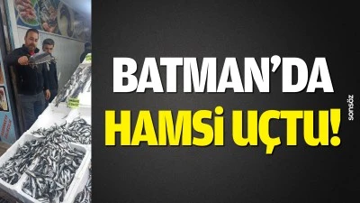 Batman'da hamsi uçtu!