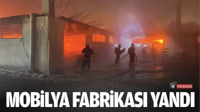 Batman’da mobilya fabrikası yandı