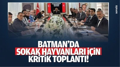 Batman’da sokak hayvanları için kritik toplantı!