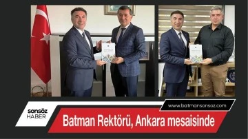 Batman Rektörü, Ankara mesaisinde