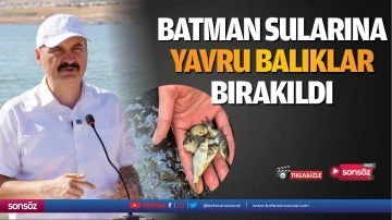 Batman sularına yavru balıklar bırakıldı