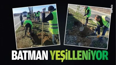 Batman yeşilleniyor