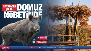 Batmanlı Çiftçi, domuz nöbetinde