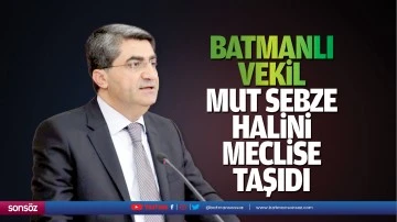 Batmanlı Vekil, Mut Sebze Halini meclise taşıdı