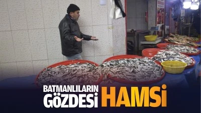 Batmanlıların gözdesi hamsi…