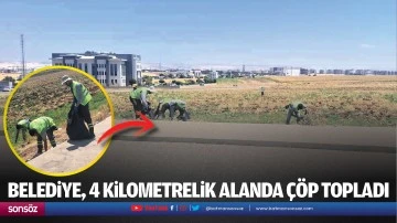 Belediye, 4 kilometrelik alanda çöp topladı