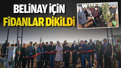 Belinay için fidanlar dikildi