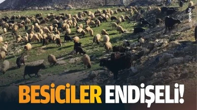 Besiciler endişeli!