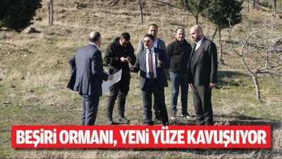 Beşiri Ormanı, yeni yüze kavuşuyor