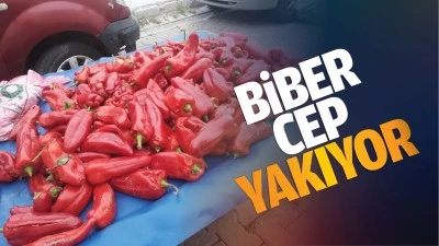 Biber cep yakıyor