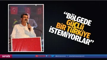 “Bölgede güçlü bir Türkiye istemiyorlar”