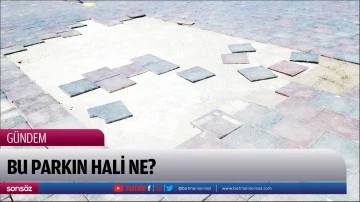 Bu parkın hali ne?