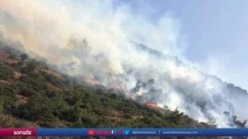 Buca ilçesinde orman yangını çıktı