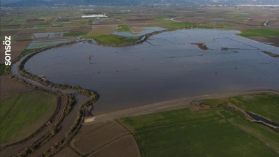 Büyük Menderes Nehri'nde taşkınlar yaşandı