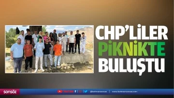 CHP’liler piknikte buluştu