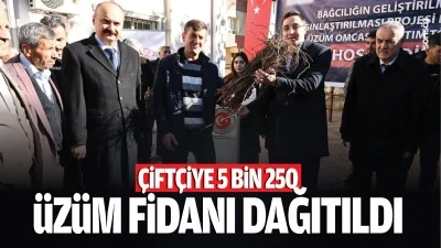 Çiftçiye 5 Bin 250 üzüm fidanı dağıtıldı