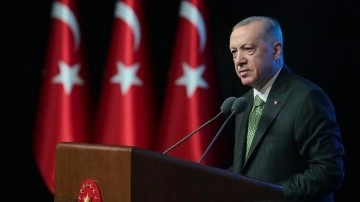 Cumhurbaşkanı Erdoğan: Türkiye'nin Demokrasisi İçin Tedbir Almaya Devam Ediyoruz