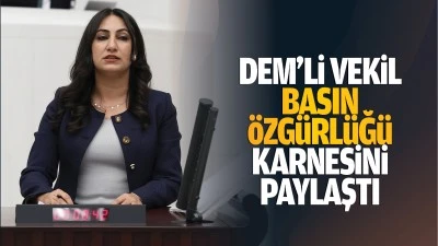 DEM’li vekil, basın özgürlüğü karnesini paylaştı