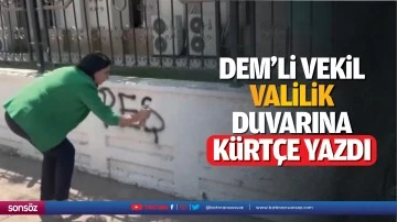 DEM’li vekil, valilik duvarına Kürtçe yazdı