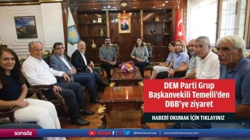 DEM Parti Grup Başkanvekili Temelli’den DBB’ye ziyaret