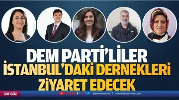 Dem Parti’liler İstanbul’daki dernekleri ziyaret edecek