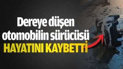 Dereye düşen otomobilin sürücüsü hayatını kaybetti