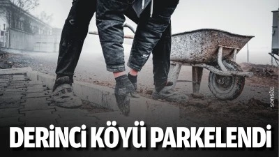 Derinci Köyü parkelendi