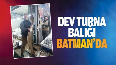 Dev turna balığı Batman'da…