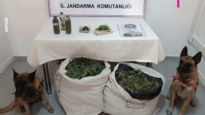 Diyarbakır'da 11 kilo 200 gram esrar ele geçirildi